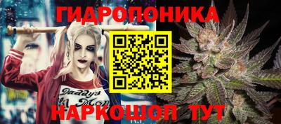 гидропоника Абинск
