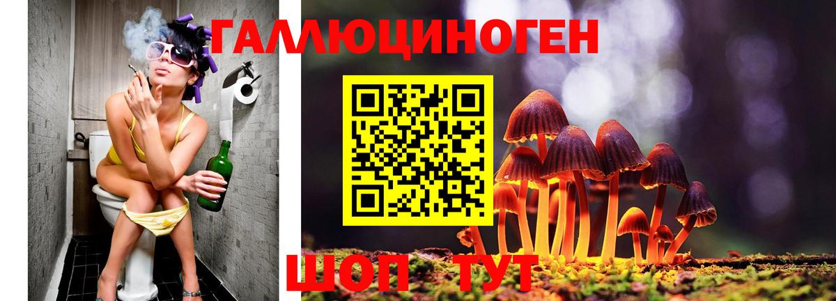 наркошоп  Галлюциногенные грибы Psilocybe  Вход с VPN  Ангарск  Псилоцибиновые грибы ЛСД 